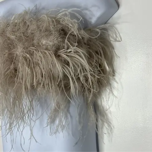 Lamarque Zaina Feather Crop Top Size: Large Dusty Rose New With Tags