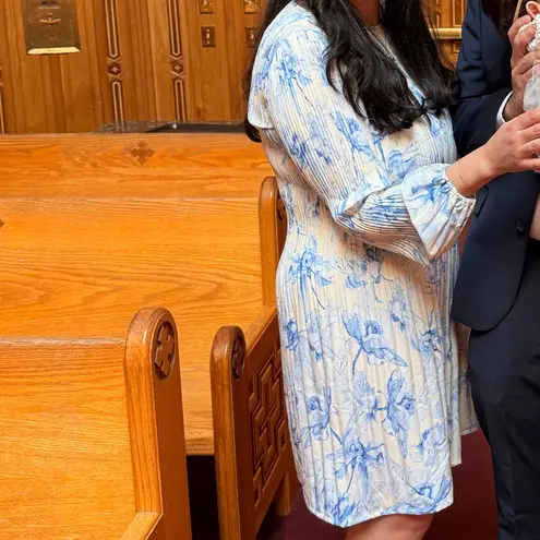 Maje Long Sleeve Dress in Blue and Cream Size 40 (US 12)