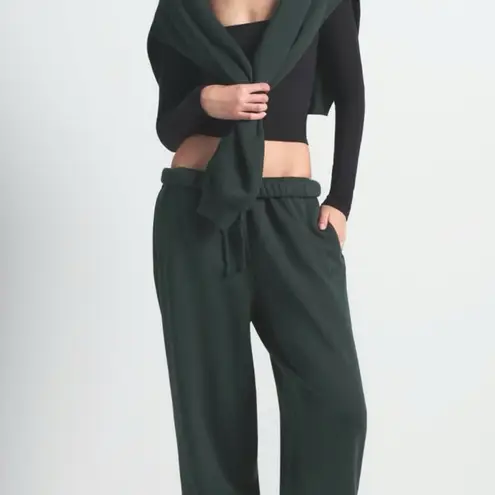 SKIMS NWT - Classic Straight Leg Pants Spruce Green Size Large - Sold Out Online