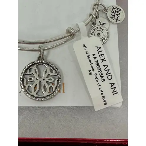 ALEX AND ANI  Path of Life Charm Bangle Bracelet Silver Tone Positive Energy READ