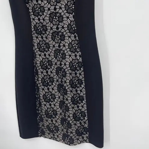 Enfocus Studio Lace Sheath Dress Sz 6 Gothic Nude Illusion Party Cutout Witchy