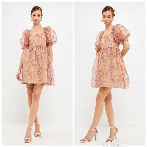 Endless Rose Puff Sleeve Mini Dress