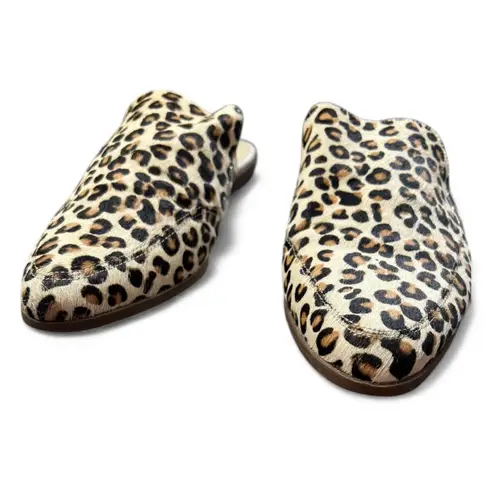 Sole Society leopard Print Mules animal print pony hair quiet luxury preppy