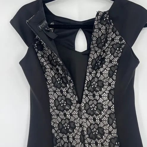 Enfocus Studio Lace Sheath Dress Sz 6 Gothic Nude Illusion Party Cutout Witchy