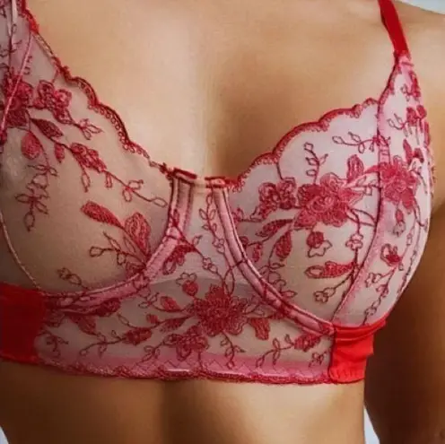 Sheer fabric intertwined with lipstick red fabric sensual bra. Cup size fits DD