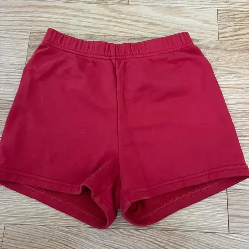 Aritzia Shorts