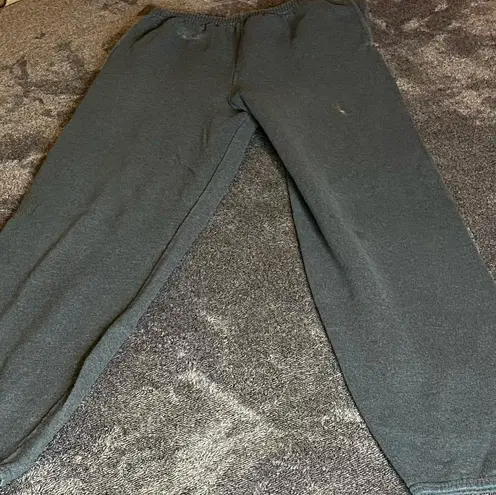 Hanes basic gray sweats ( M )