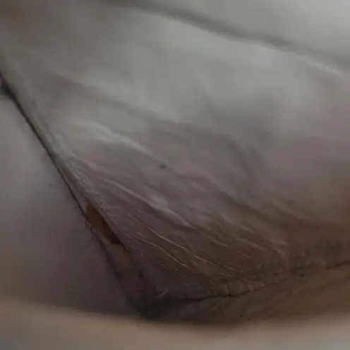 Shoes Size 7.5 Women's Elie Saab Heels Ankle Strap Floral Lace Pattern Women's Shoes