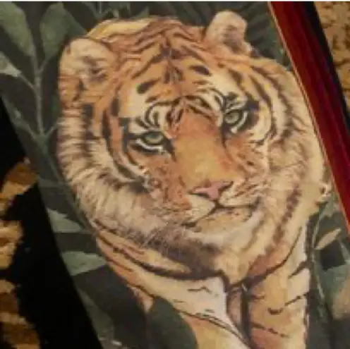 Aviator Nation printed tracksuit NWOT RARE and sold out everywhere