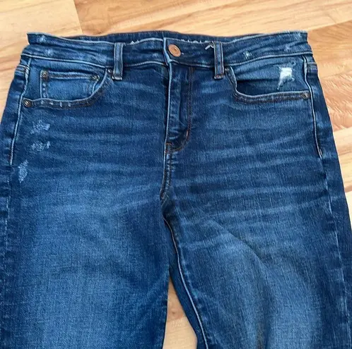 American Eagle  Dark Wash Distressed Jegging Jeans