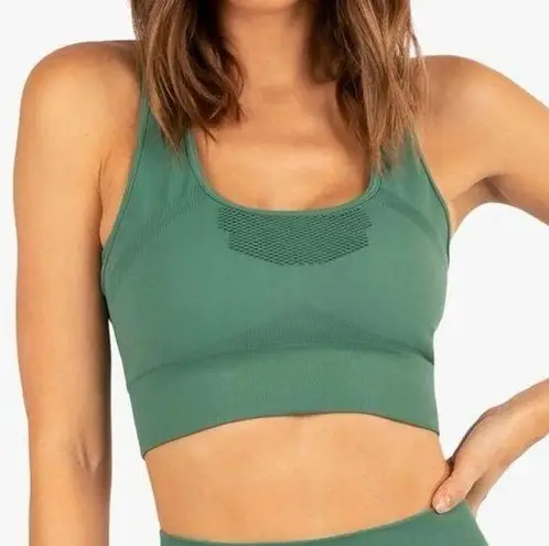 Koral NWOT  Cedar Seamless Sports Bra