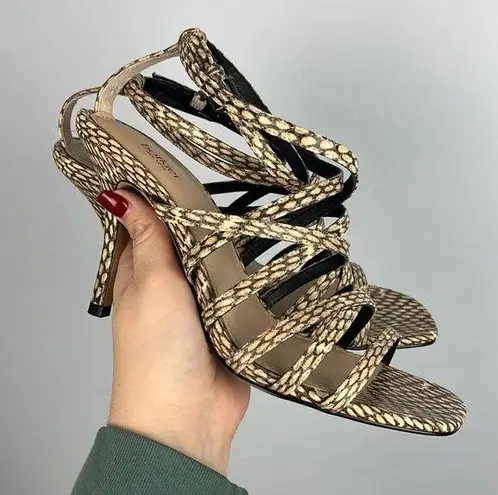 Botkier Lorain Desert Snake strappy heel size 8.5 New in Box