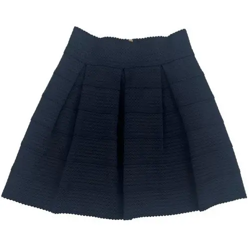 Ginger G A-Line Navy Blue Pleated Mini Skirt Size Medium