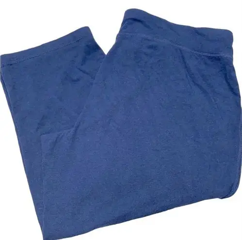 Athletic Works  blue joggers size large 12-14