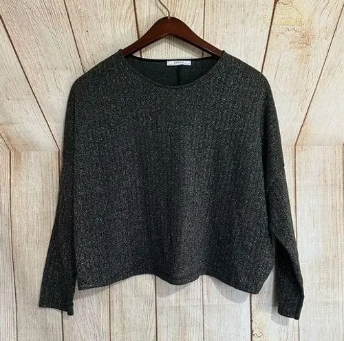 ZARA  Black Metallic Cozy Comfy Medium Sweater