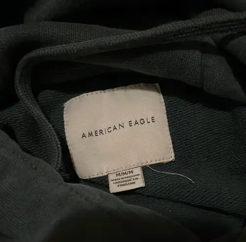 American Eagle Outfitters Embroidered Hoodie