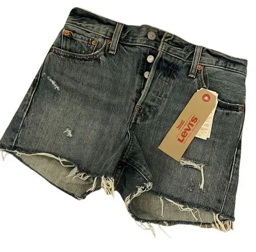 Levi's NWT  Wedgie Short Size 25