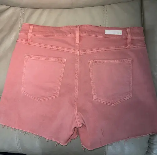 Sanctuary Shorts