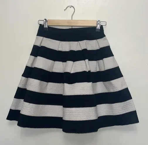 EXPRESS Striped Skirt