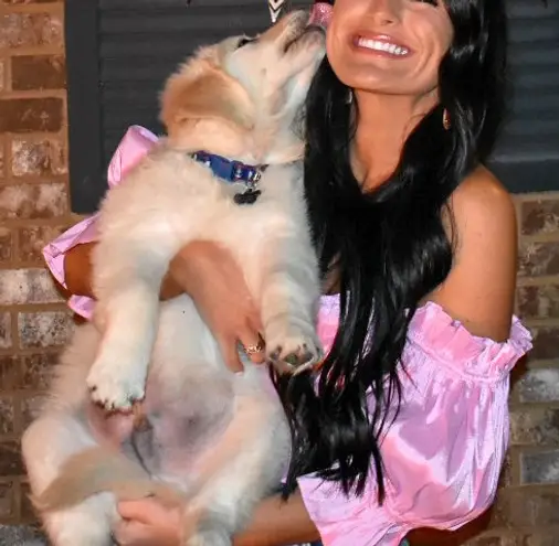 Lovers + Friends Pink bustier top thumbnail 5