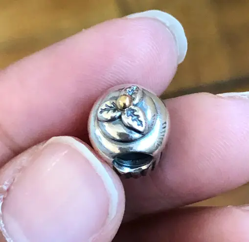 Pandora Gold & Silver Charm