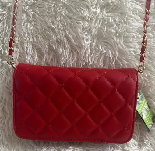 Badgley Mischka Diamond Quilted Studded Crossbody Bag