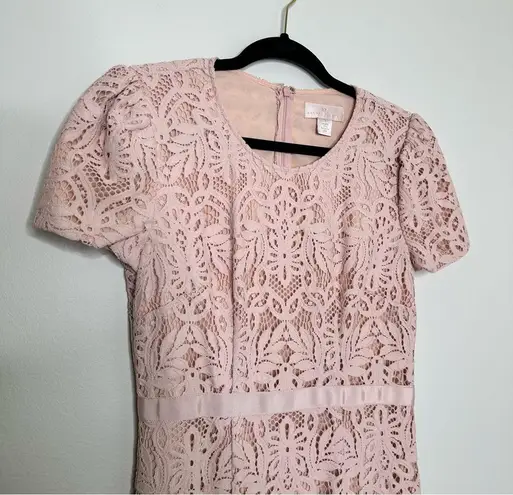 Rachel Parcell Floral Lace Sheath Mini Dress in Rose Smoke Pink