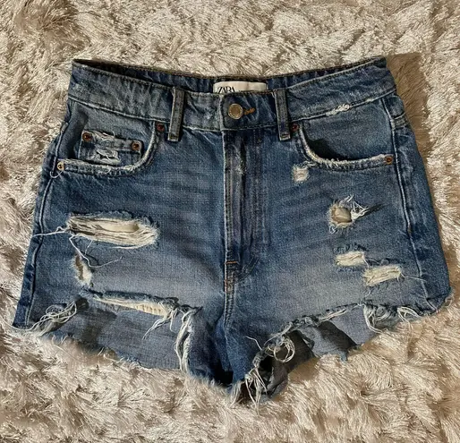 ZARA Shorts