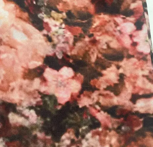 Haute Hippie Small Pink Floral Long Sleeve Blouse