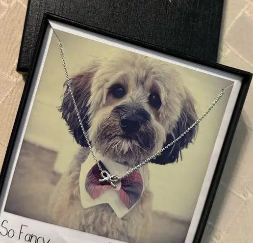 Kitsch So Fancy Necklace Earring Set 14K Sterling Silver Plated Brass NWT