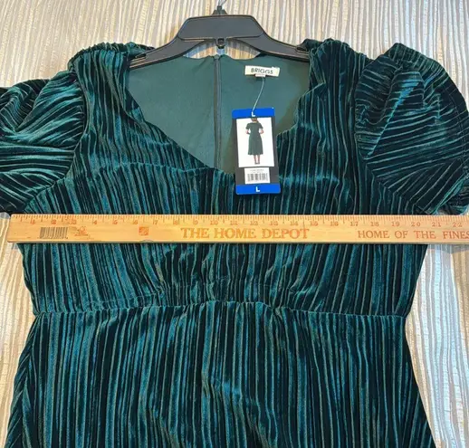 Briggs New York Briggs Ladies Pleated Velvet Dress NWT