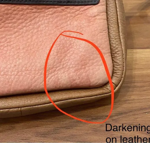 Pilcro and the Letterpress Anthropologie Mini Covertible Crossbody Shoulder Bag