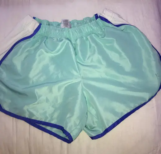 Danskin Teal Shorts