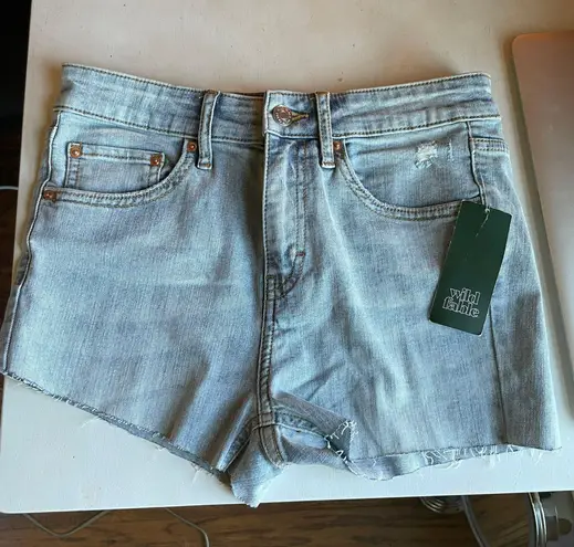 Wild Fable High Rise Jean Shorts