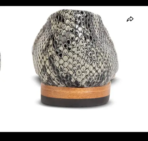 FREEBIRD by Steven Freebird Olive Multi Leather Flat Size 6 NIB thumbnail 6