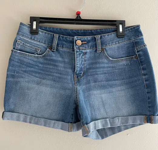 Time & Tru Jean Shorts