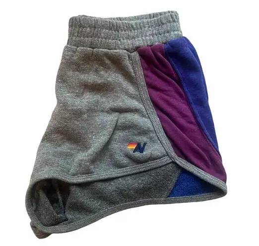 Aviator Nation Gray & Purple Sweat Shorts