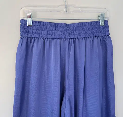 Everlane NEW The Satin High Rise Wide Leg Pull On Pants Cornflower Blue