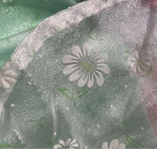 Vintage Daisy Maxi Dress Flutter sleeve overlay Green pearl white fairytale