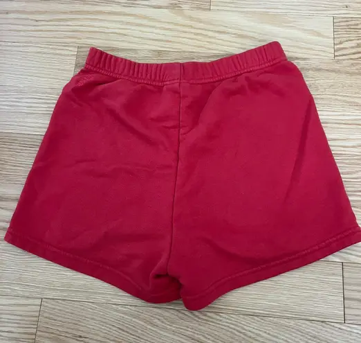 Aritzia Shorts