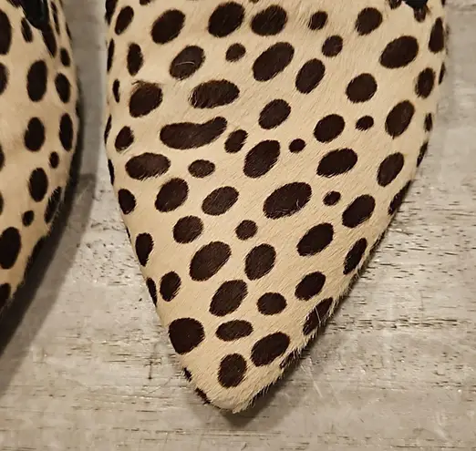 Jenni Kayne 💕💕 Pony Hair Mules ~ Cheetah Print EU 37.5