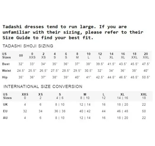 Tadashi Shoji NWT TOO Goldeneye Gown in Cedar Nude Tulle Mesh Dress 14Q