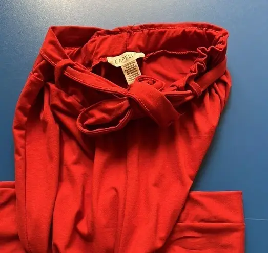 Burnt orange pants. Wide leg. Tie belt. Small. Size undefined