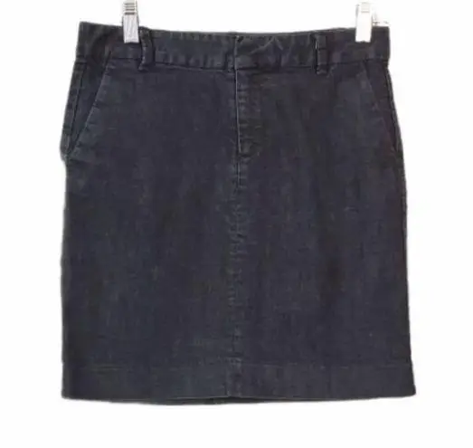 Gap  Skirt 