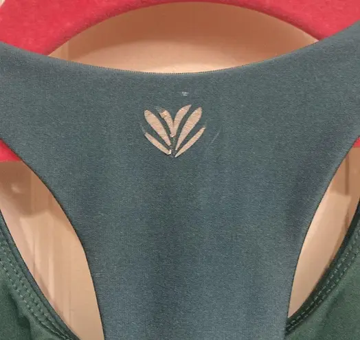 Forever 21  Ombré Crop Sports Bra Top