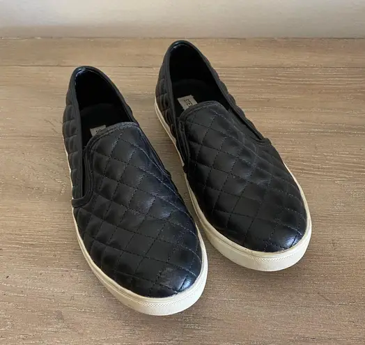 Steve Madden Ecentrcq black quilted slip on sneakers