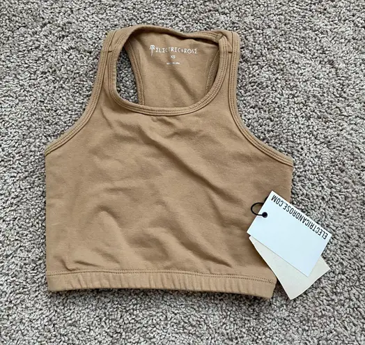Electric And Rose Brown Athletic Crop Top