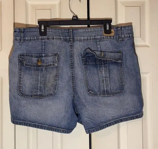 Zana Di Flat Front High Rise Denim Shorts 18