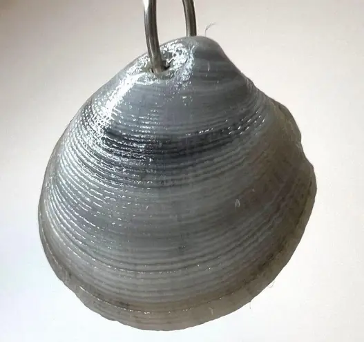 Handmade Dangle Earrings Genuine Handcrafted Seashell Crab Shades of Blue Gray Coastal