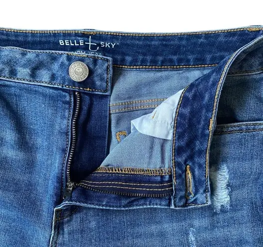 Belle Sky Belle + Sky Mom Jean women's size 4 skinny light wash stylish rips five pocket